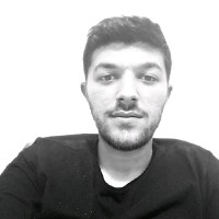 Doğan Hozan
