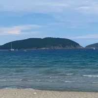 杨梦飞