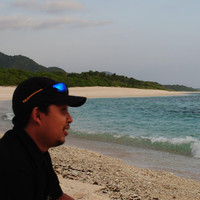 koko saja