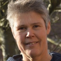 Marjan van de Vrie