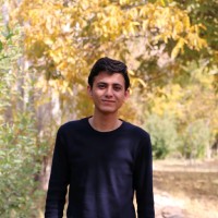 Ali Molajani