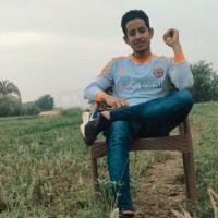 Moamen Adel