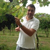 Johan Sares