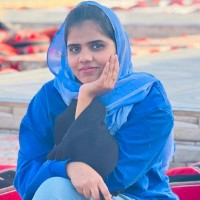 Beebi sajla