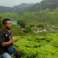 Mohd Firdaus