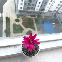 Đức Vũ Hoàng