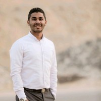 Mohamed Fouad Mansour