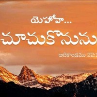 R Narasimhulu