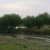Darawan Ali