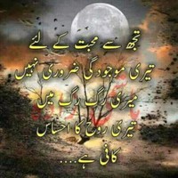 Tahir Bhatti