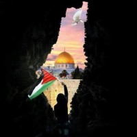 Nancy Sayed 🇵🇸