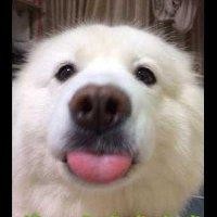 陈亮希