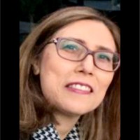 mojgan damankeshideh