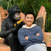 Dylan Chen