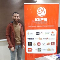 Ahmed Elsayed Hassn