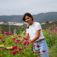 Madalena Vilela Pereira