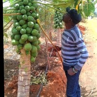 Ochieng' Barasa 🇰🇪