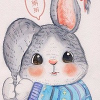 杨凯琪