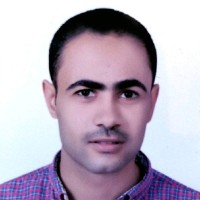 Ahmed Nabil Hamed