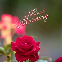 Kapil Kumar
