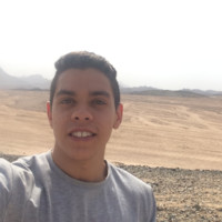 yehia raef