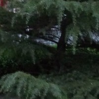 王希海