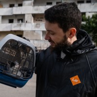Dario D'Angelo