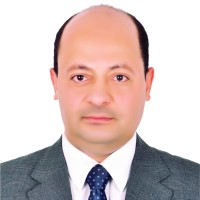Said Arafa