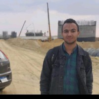 walid alaa