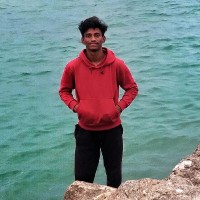Nagaraj R.