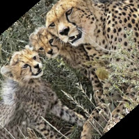 4Trips Tanzania
