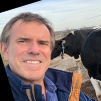 Ricardo Alamino Figueiredo