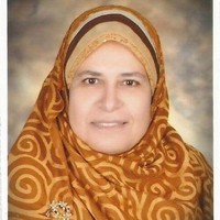 Wafaa Shokry