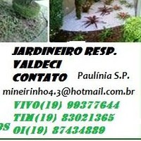 val mineirinho