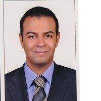 HAZEM TAWFIK AMER