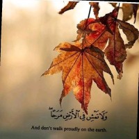 Irfan Shahzad