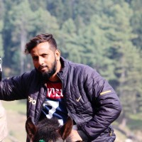 Zaid A.
