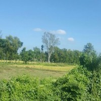 Mahbubul Alam