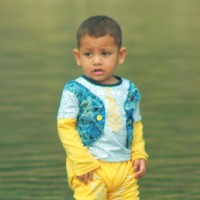 Md Mamun Hossain