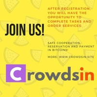Crowdsin Site
