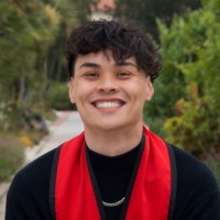 Hanson Vuong