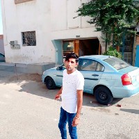Ziddi Sher