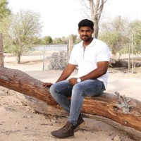 Anishraja Nagoorgani