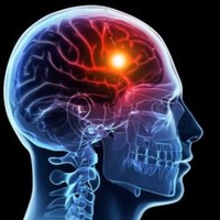 AGNES (Suzie) BEEKMAN-Marshall