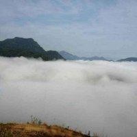 晏庆流