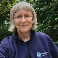 Carol Wadsworth