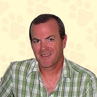 Steven Bishop, Certdt