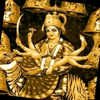 Rahul Kumar Yadav