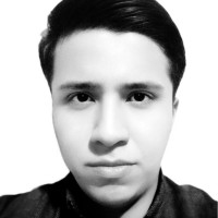 Luis Armando Puente G