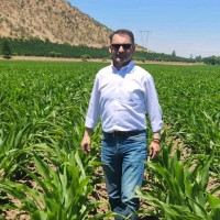 Raúl Enrique Salas Marchant